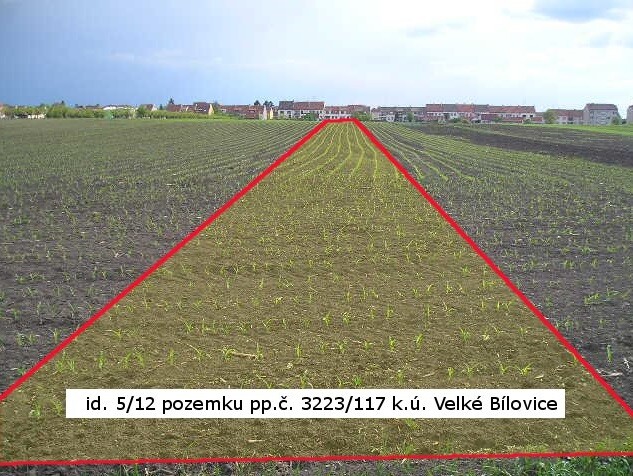 369_ÚZSVM prodal v aukci pozemek za téměř milion.jpg